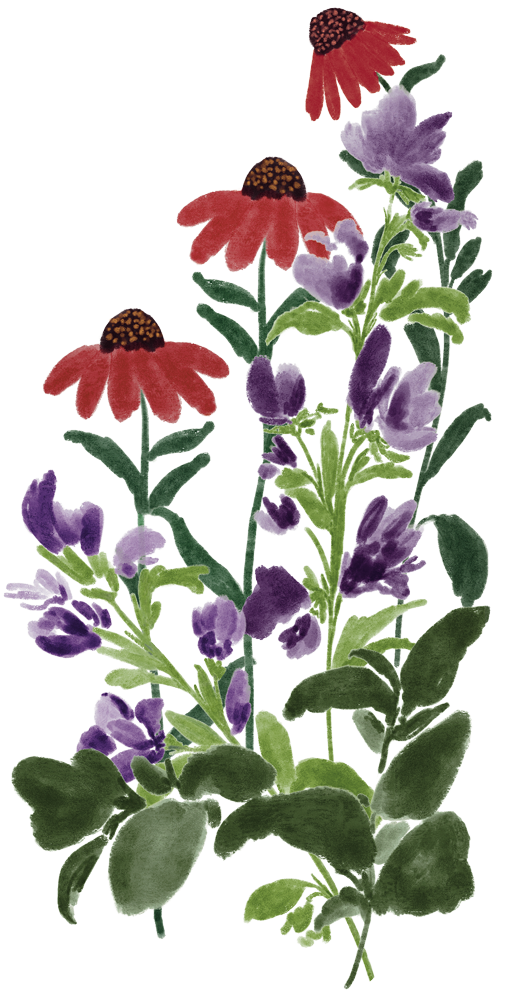 Watercolor painting of purple and red flowers with green leaves.