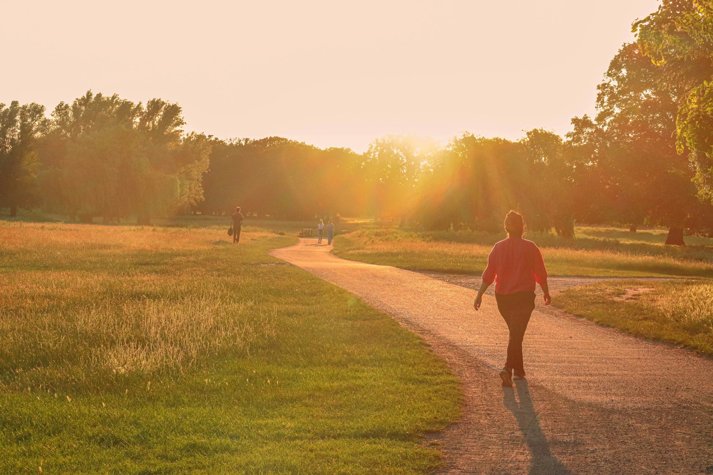 People walking along a path in a park at sunset, surrounded by trees and grass.