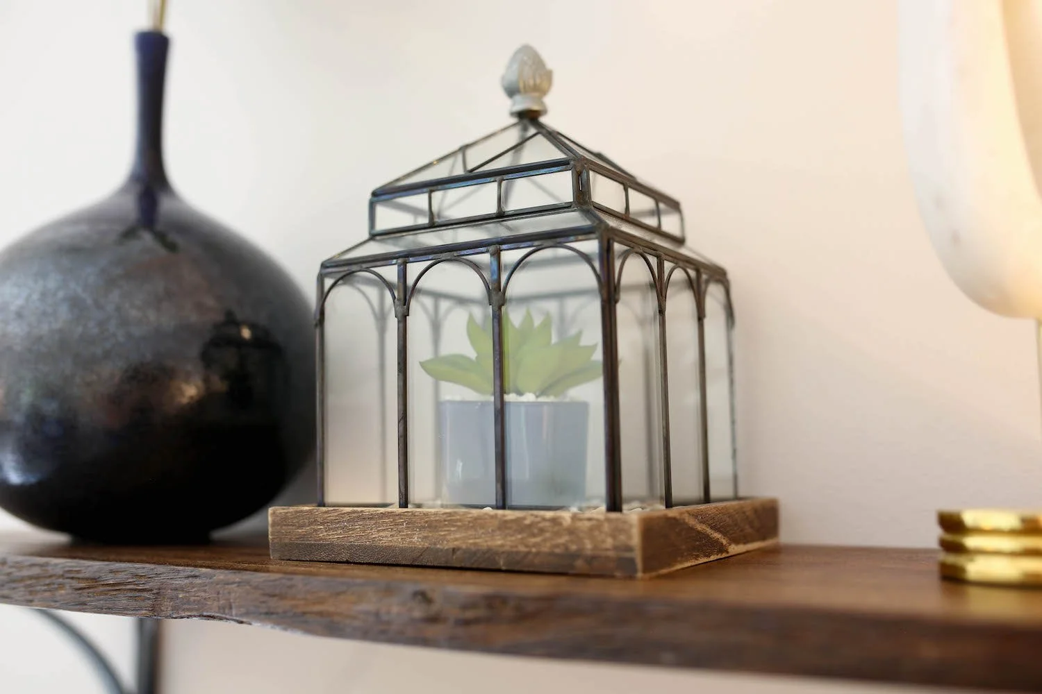 Plant and decor in Laura Long’s therapy and consulting office