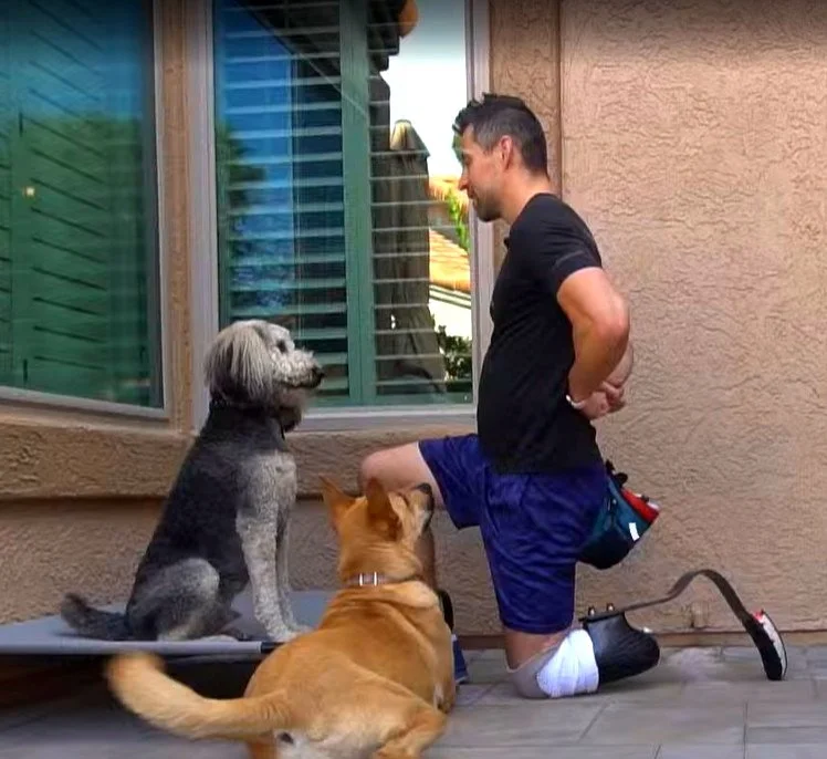 A man kneeling on one knee on porch steps, talking to two dogs, with a window and a wall behind him.