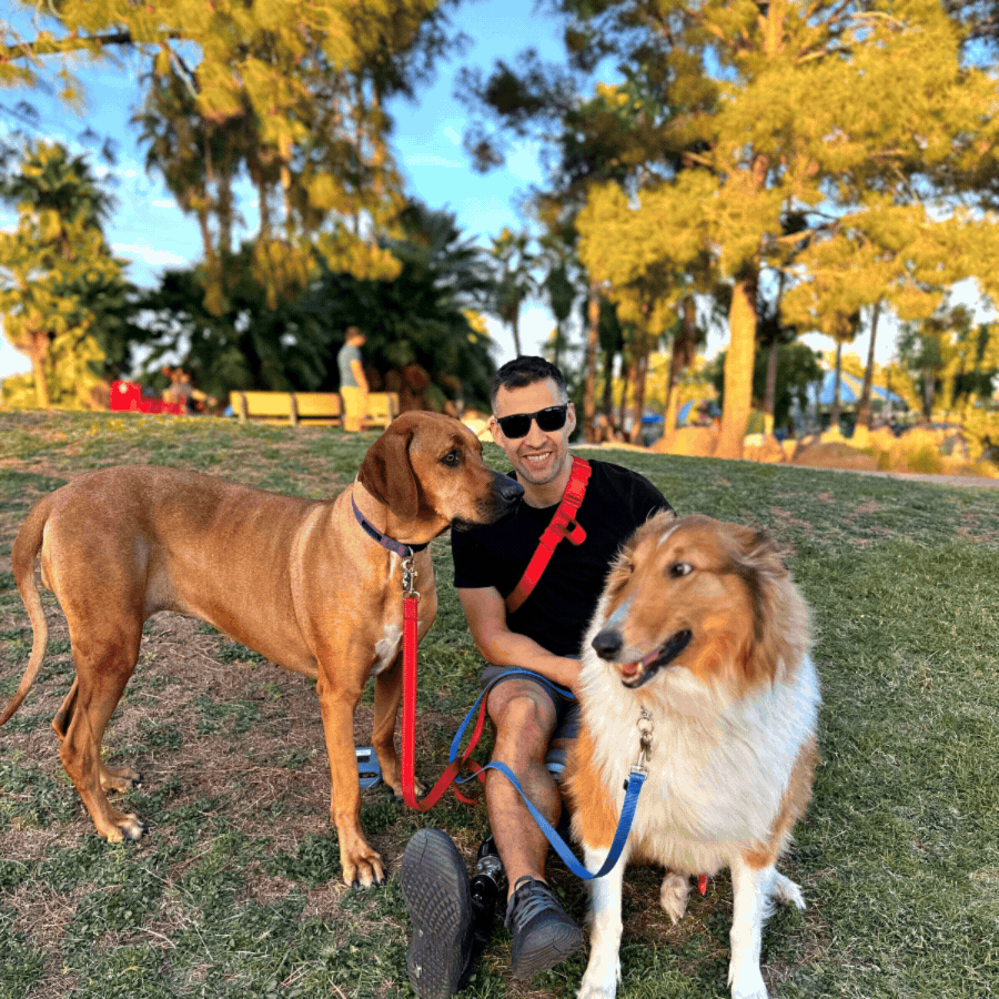 A man sitting on grass in a park with two dogs, one Labrador Retriever and one Shetland Sheepdog, during sunset with trees in the background.