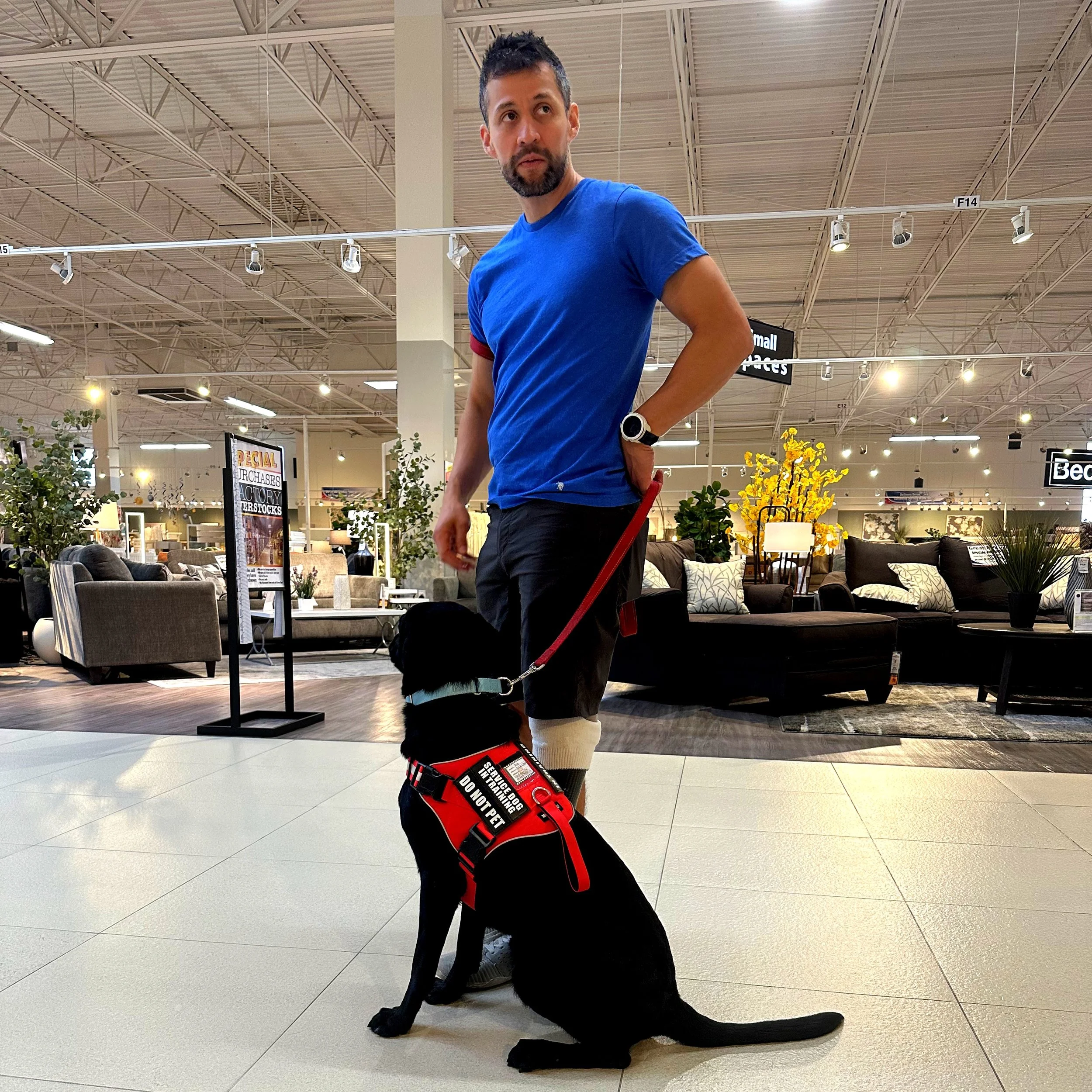 Service Dog eBook
