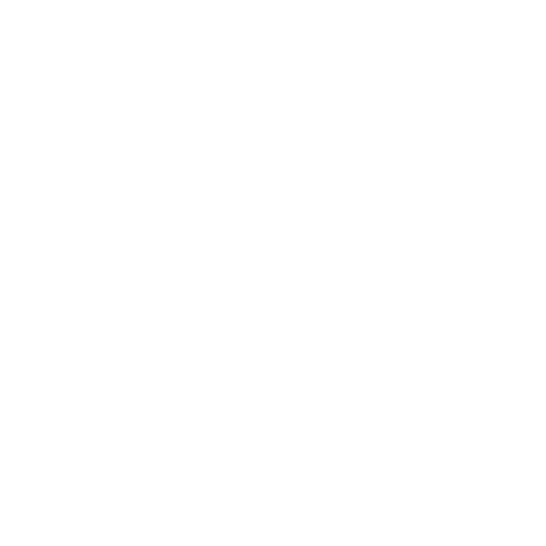 Ray White logo in white text on a black background.