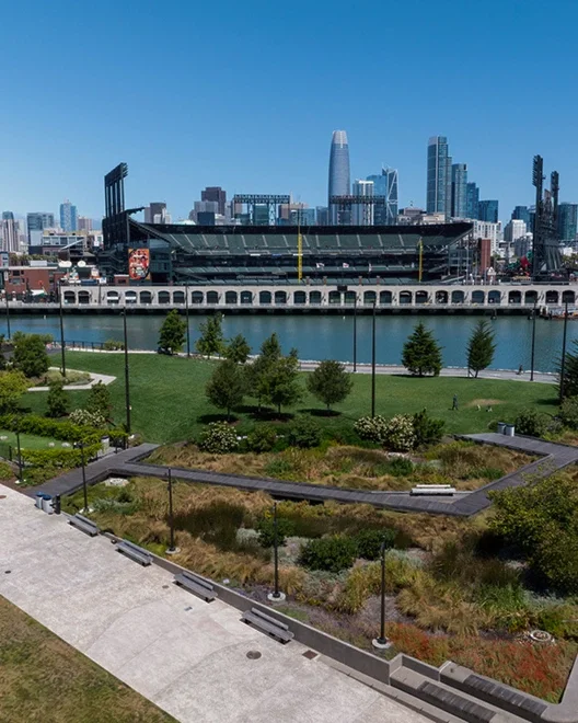View of a city skyline with tall skyscrapers, a stadium near bay, and a park area with trees and boardwalks over a centralized stormwater treatment park in the foreground.