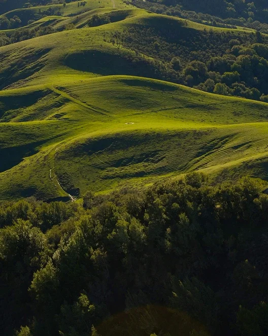 Rolling green hills with patches of trees and a winding trail, under a partly cloudy sky.