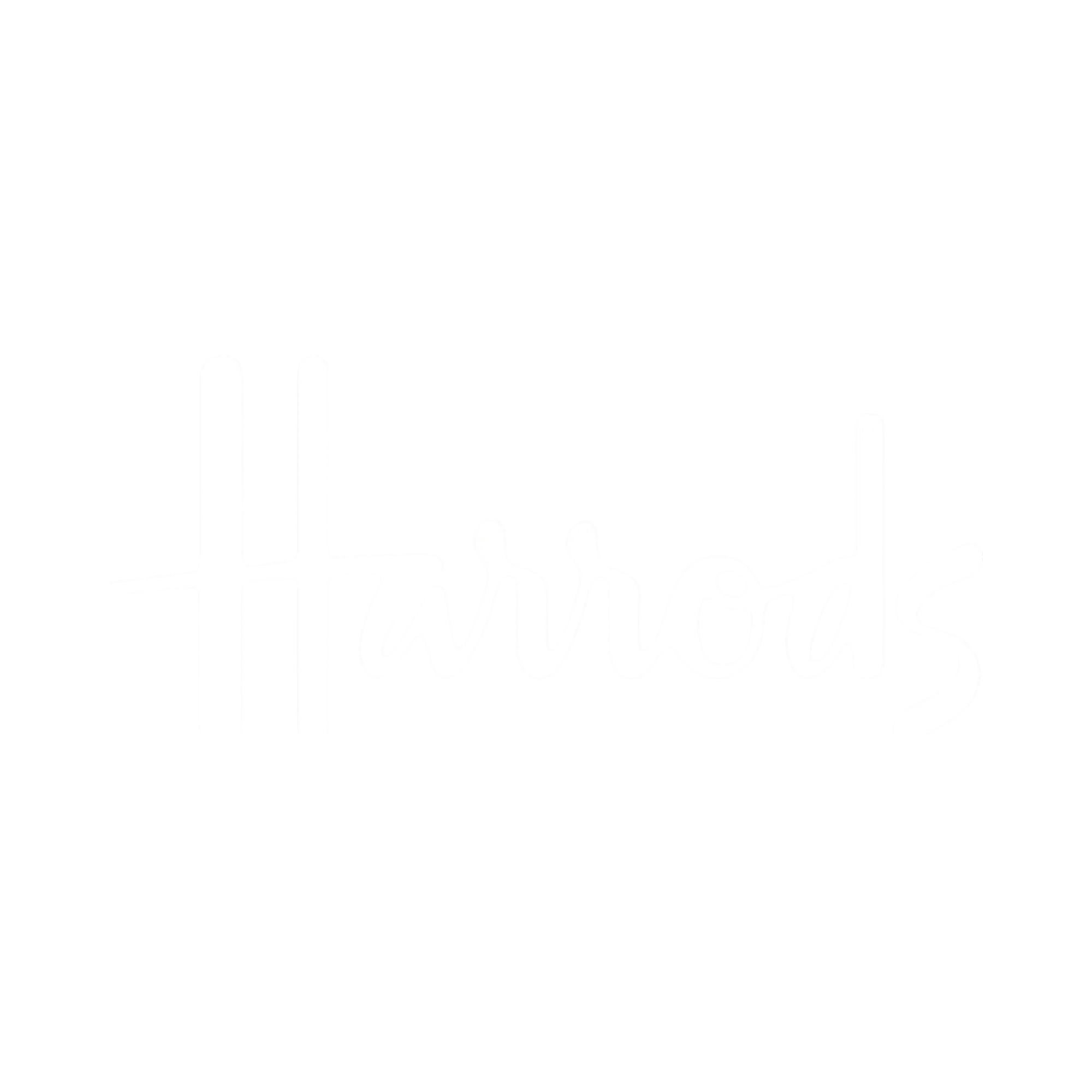 Handwritten text reading "Holidays" in a cursive style on a black background.