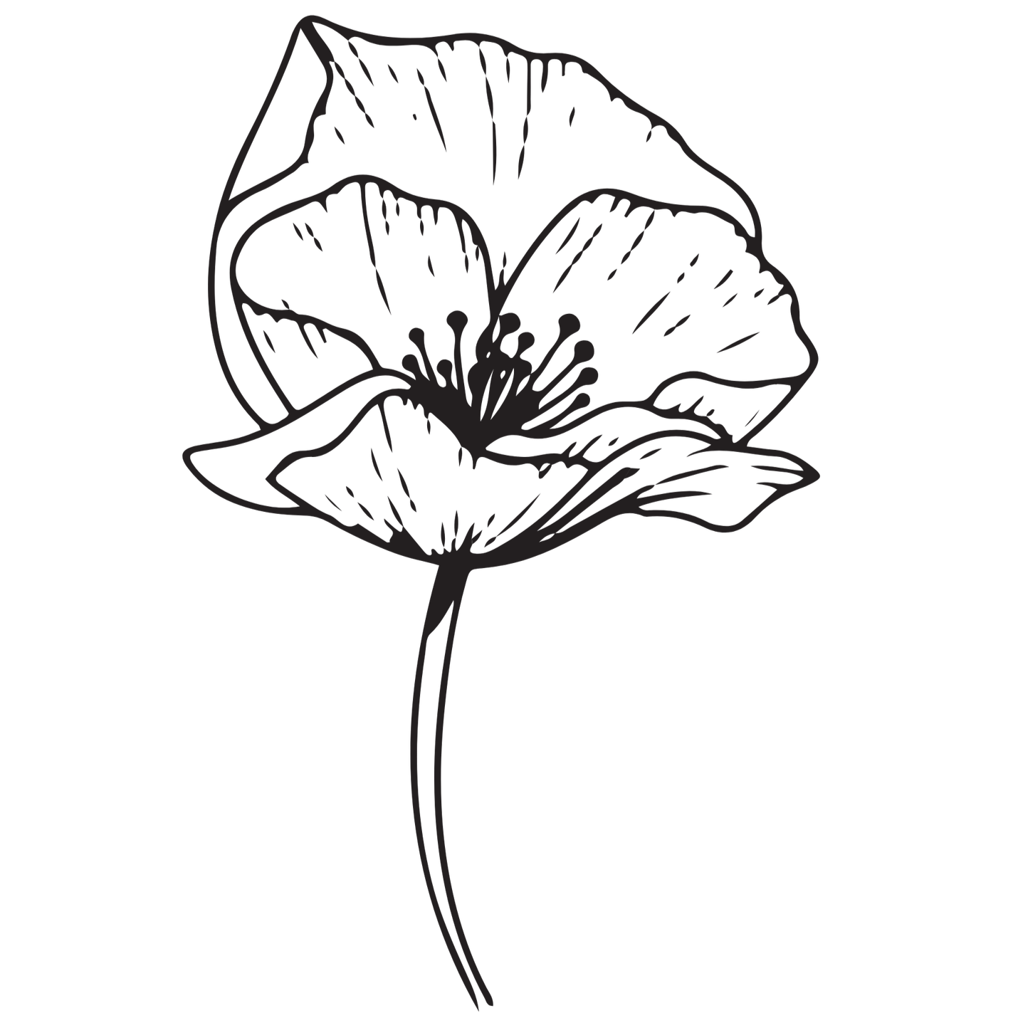 A minimalist black and white illustration of a flower with detailed petals and stem.