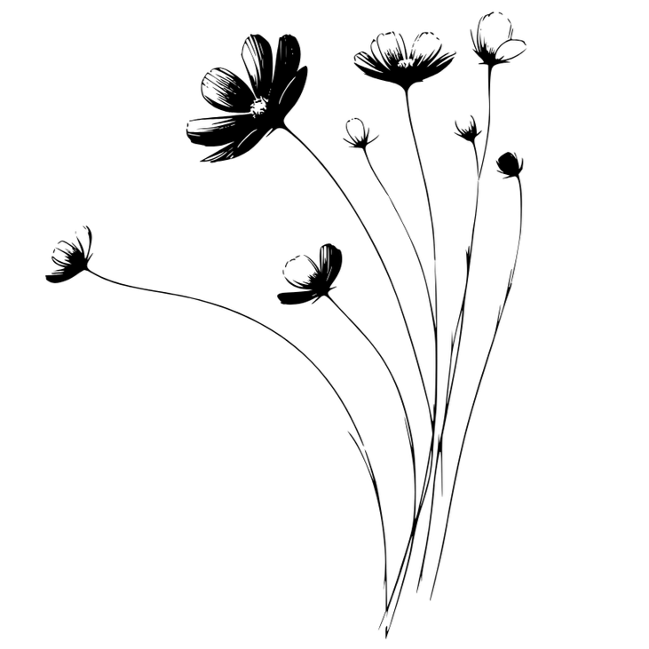 Line drawing of flowers.