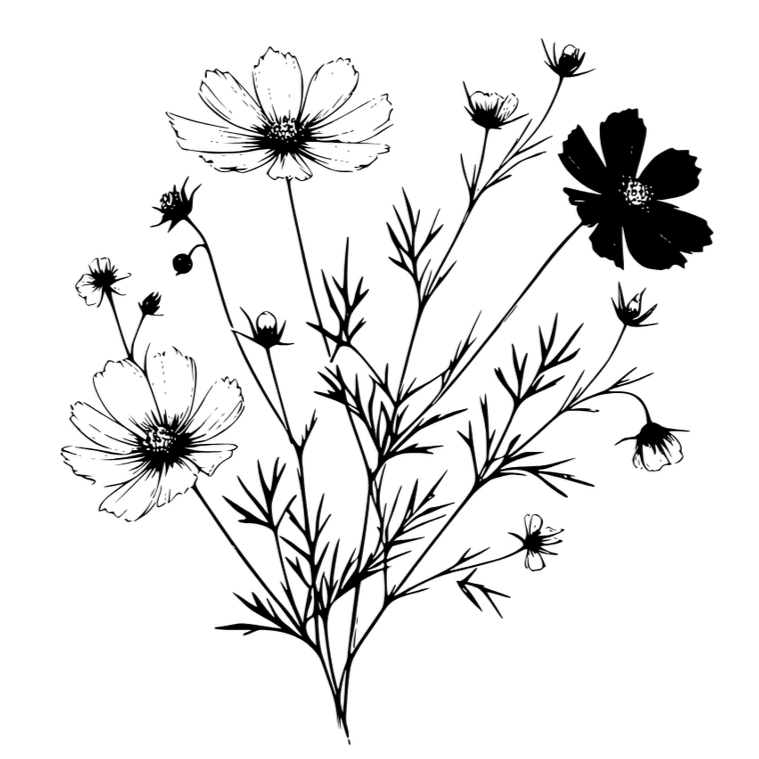 Line drawing of flowers and leaves.