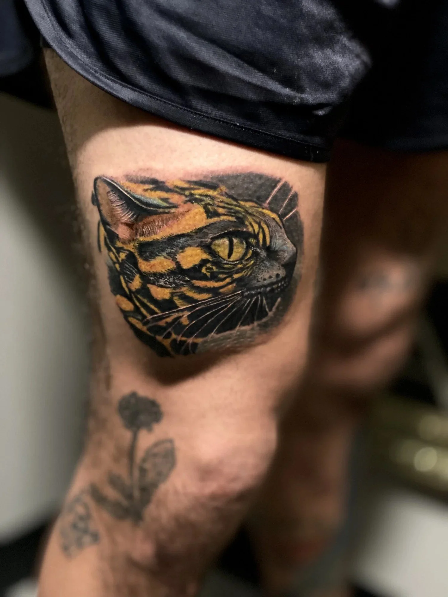 Color realism tiger tattoo by Esteban, San Diego