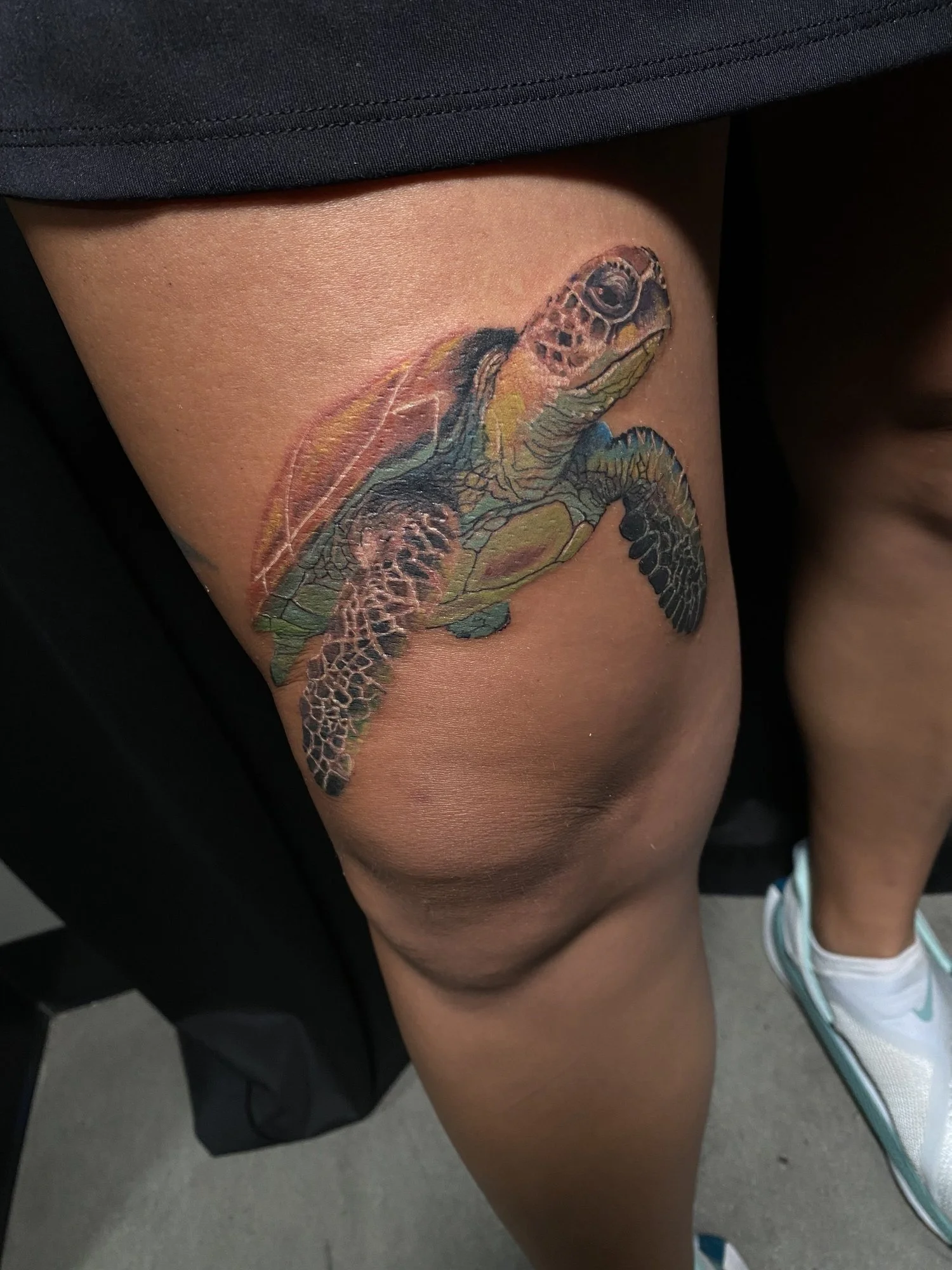 Color realism sea turtle tattoo on thigh by Esteban, San Diego tattoo artist