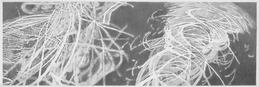  Strands of Light , 2012, graphite on paper, 12 in x 36 in