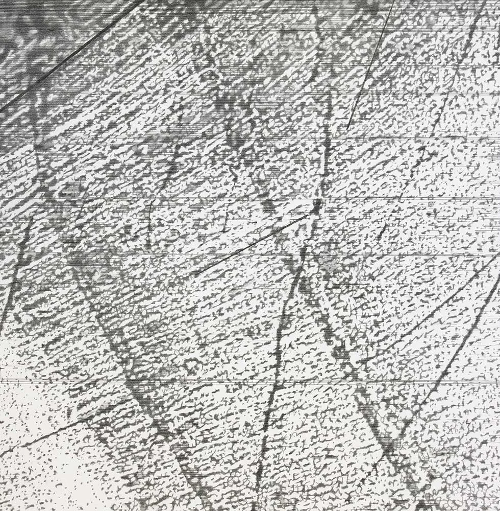  Current , 2004, graphite on paper, 18 in x 18 in