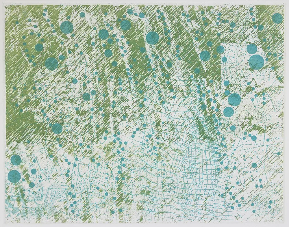  Rain on Ferns , 2020, etching, 11 in x 14 in