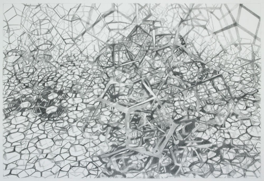  Entanglement , 2015, graphite on paper, 17 in x 25 in