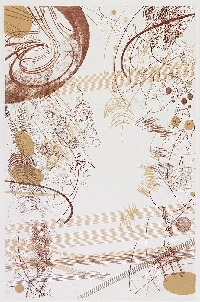  Vortex , 2009, etching, 18 in x 12 in