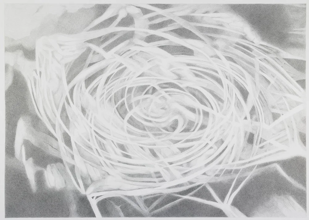  Vortex 1 , 2009, graphite on paper, 24 in x 34 in