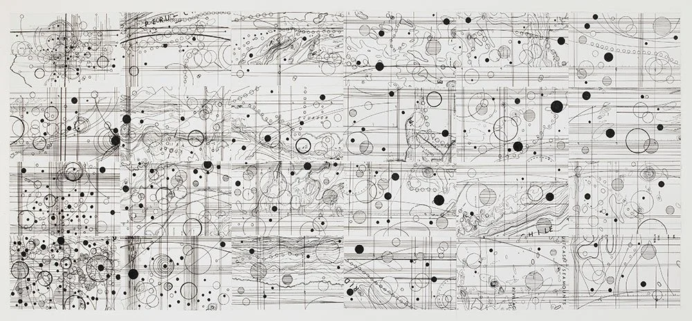  Pandemic Drawing , 2020, ink and collage, 12.25 in x 28.25 in