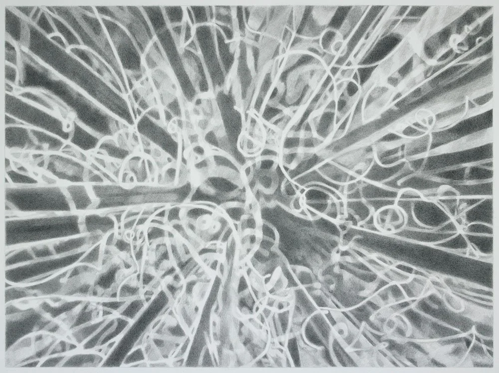  Tangled , 2015, graphite on paper, 17 in x 23 in