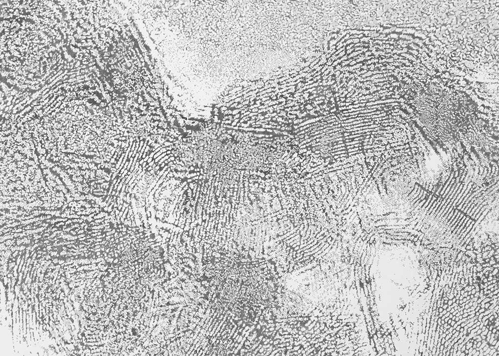  Transmission , 2005, graphite on paper, 24 in x 34 in
