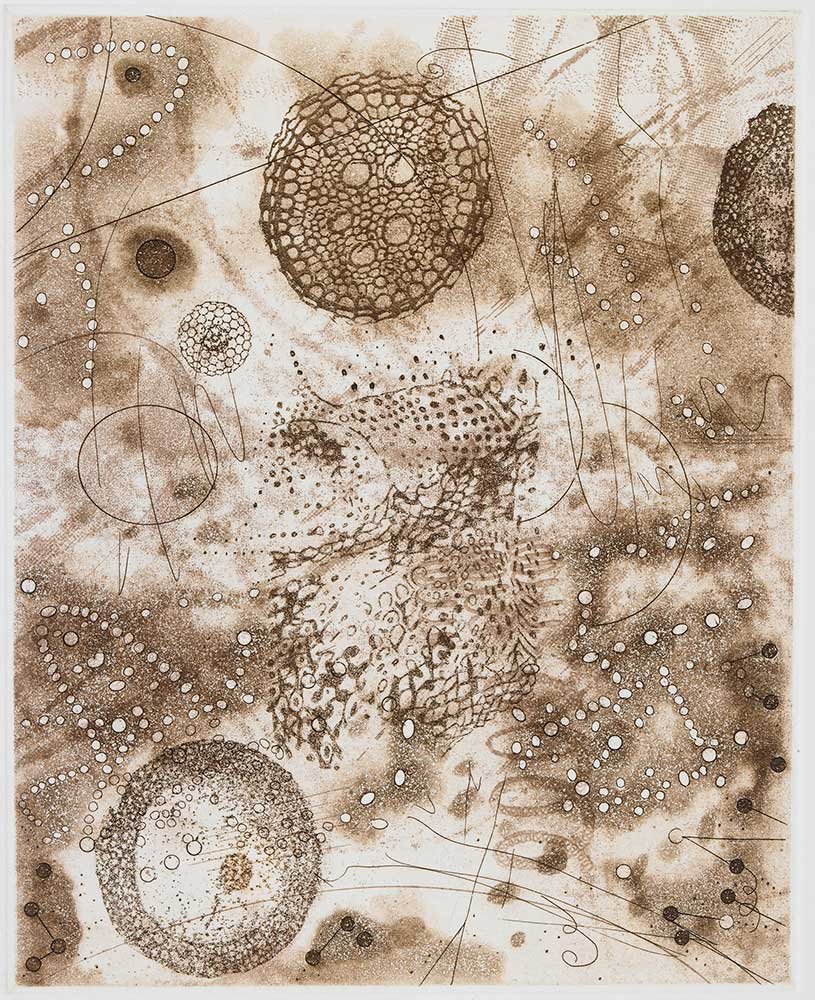  Segments , 2012, etching, 10 in x 8 in