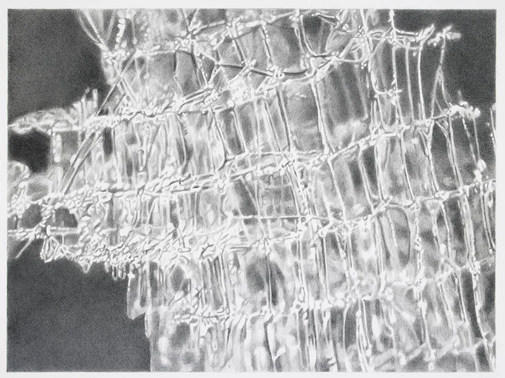  Shards , 2016, graphite on paper, 17 in x 23 in