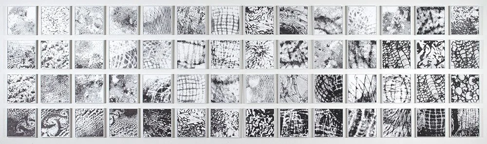  Footprints , 2011, ink on paper, 4 ft 6 in x 16 ft 2 in