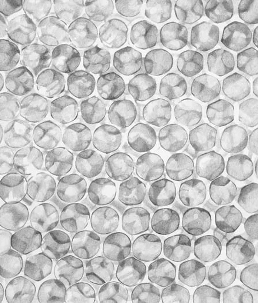  Interlocking Circles , 2007, graphite on paper, 20 in x 17 in