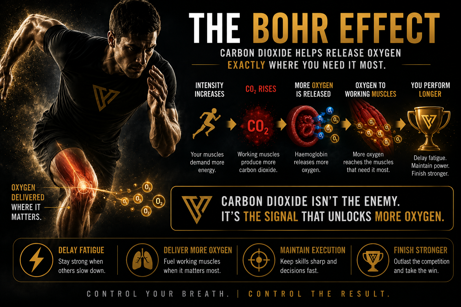 The Bohr Effect: How Elite Athletes Deliver More Oxygen When It Matters Most