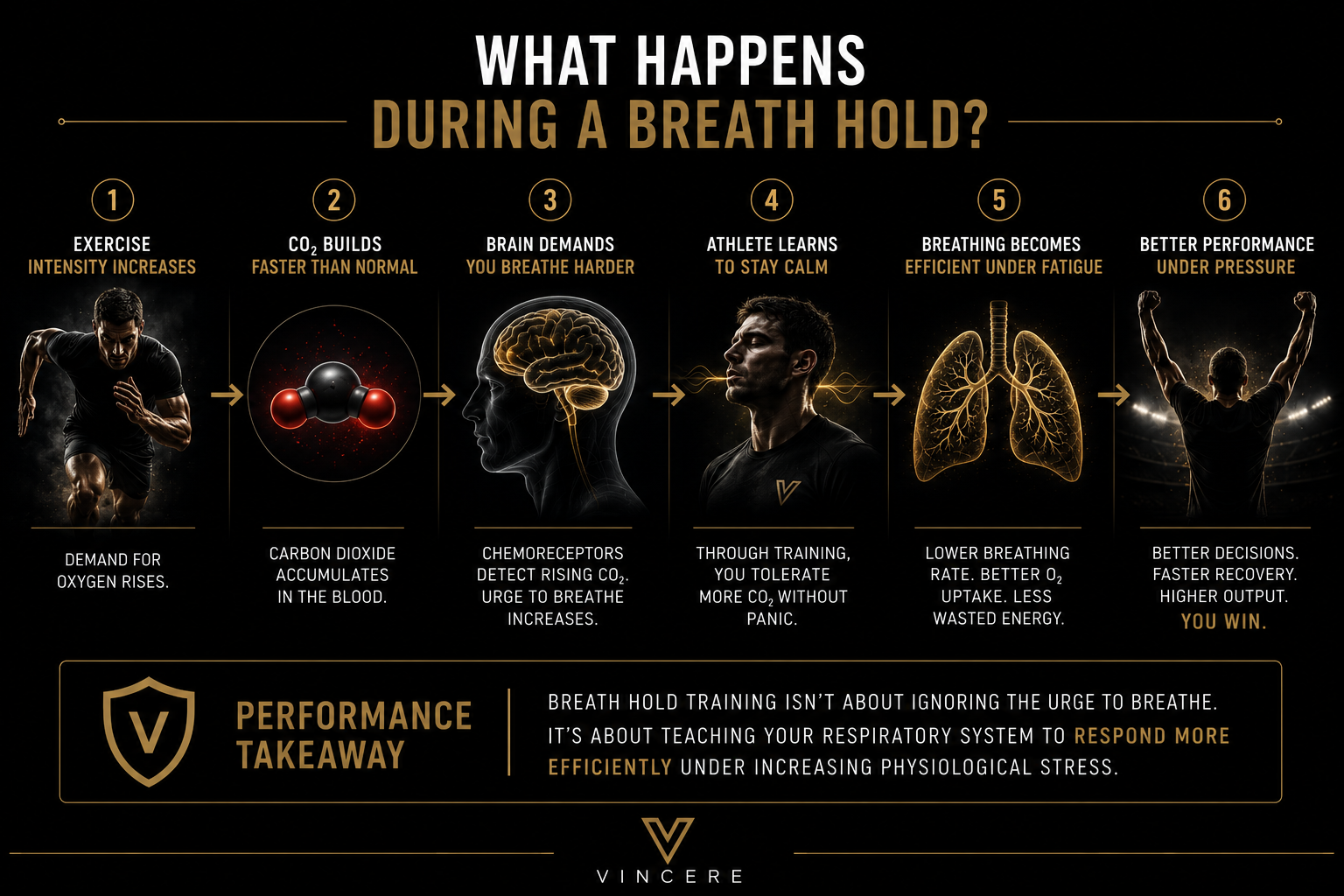 WHAT ACTUALLY HAPPENS WHEN YOU HOLD YOUR BREATH?