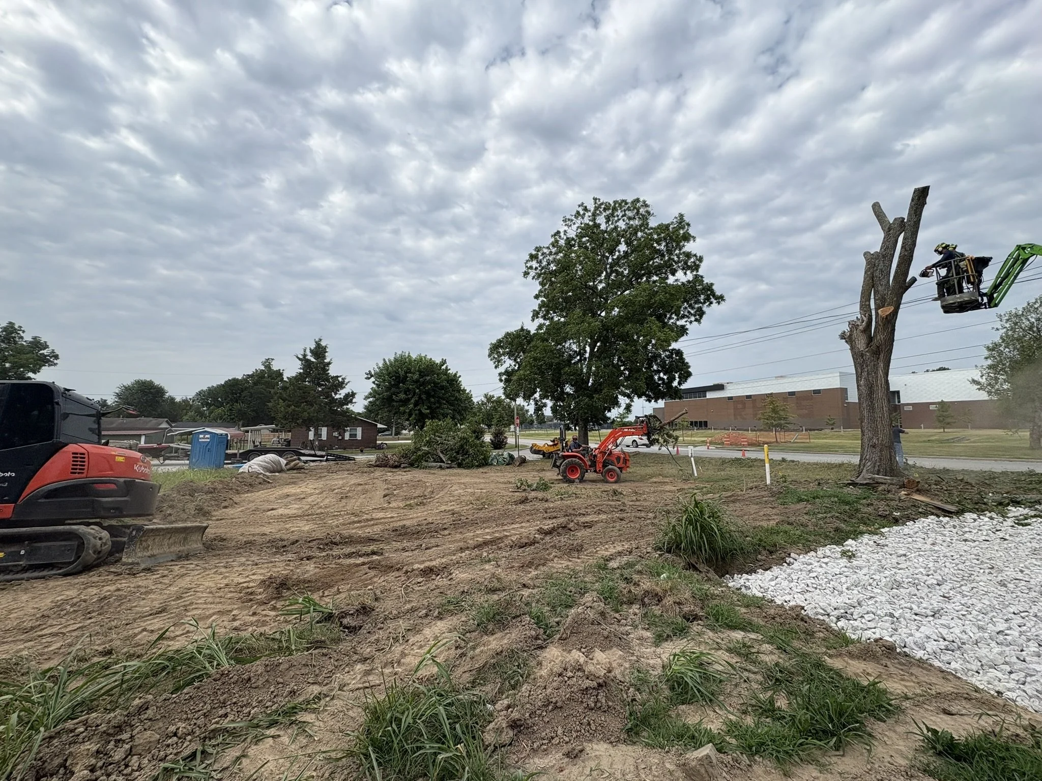Tree removal site with a worker in a bucket lift cutting a tall tree, nearby equipment, and construction materials under a cloudy sky.