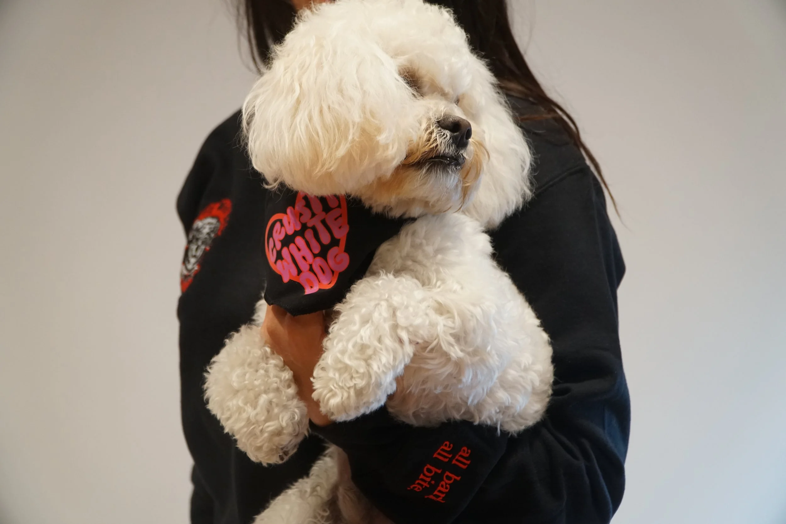DSC08168.JPG
