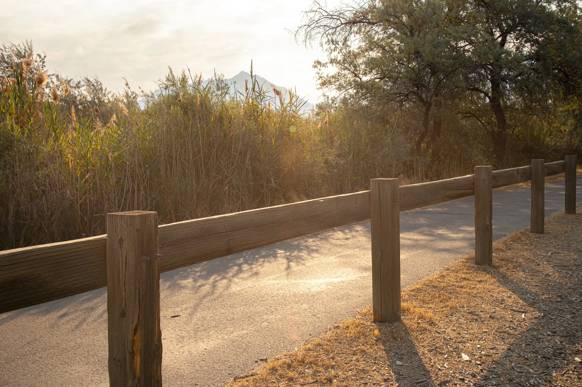 The paved Jordan River Parkway trail at Shields Lane Park in South Jordan, Utah, with a mountain peak visible through backlit reeds.