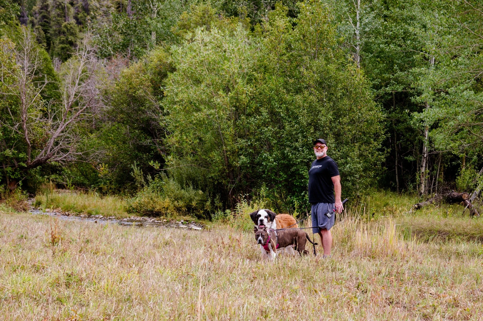Man walking with two dogs in a grassy field near trees.