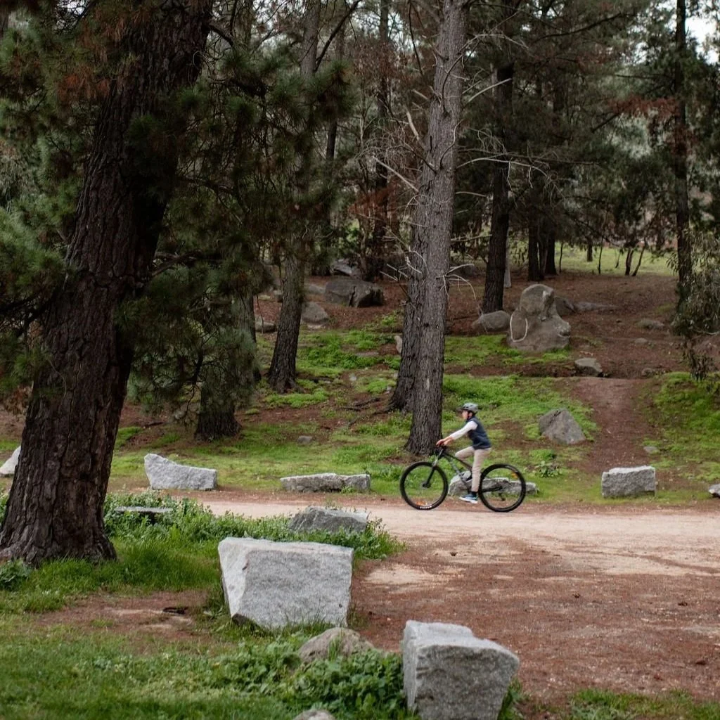 A person riding a bicycle on a dirt path in a wooded park with tall trees and large rocks.