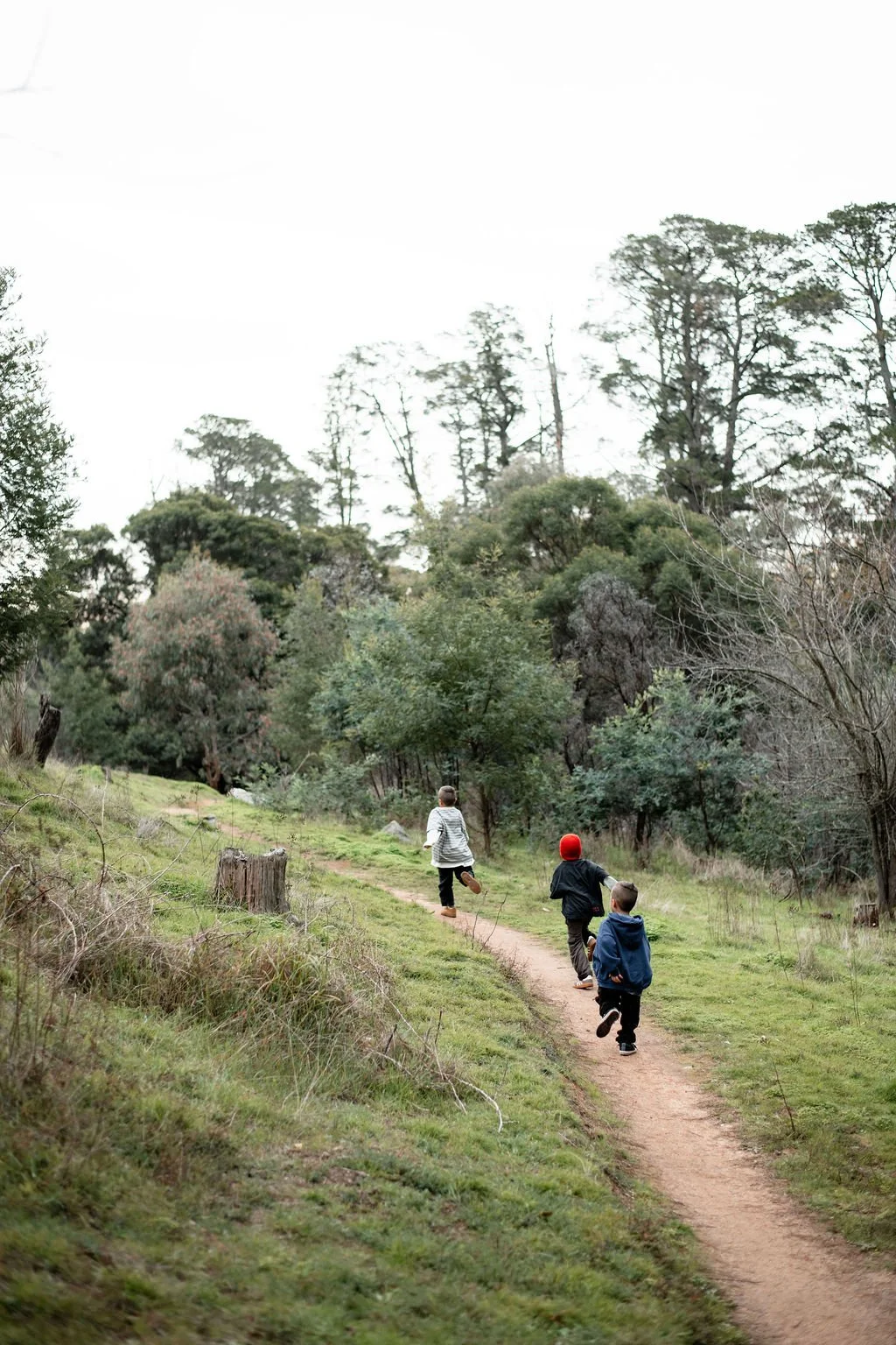Three children running along a dirt path through a grassy, wooded area with tall trees in the background.