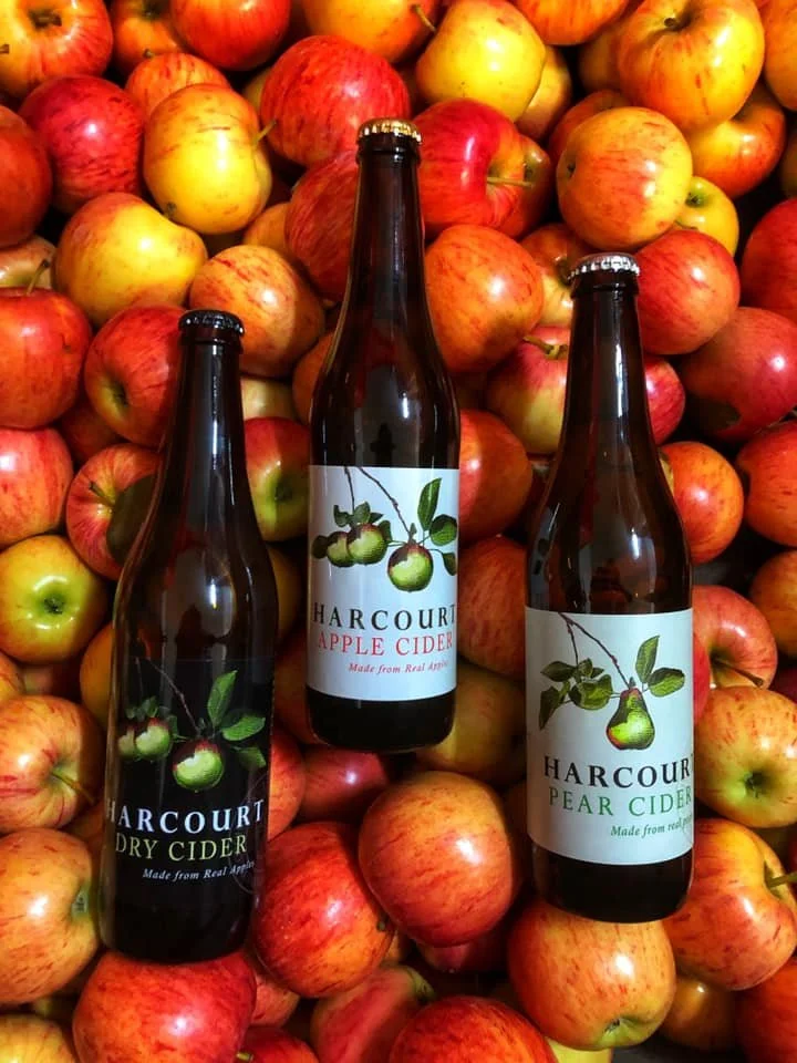 Three bottles of Harcourt cider placed among red and yellow apples.
