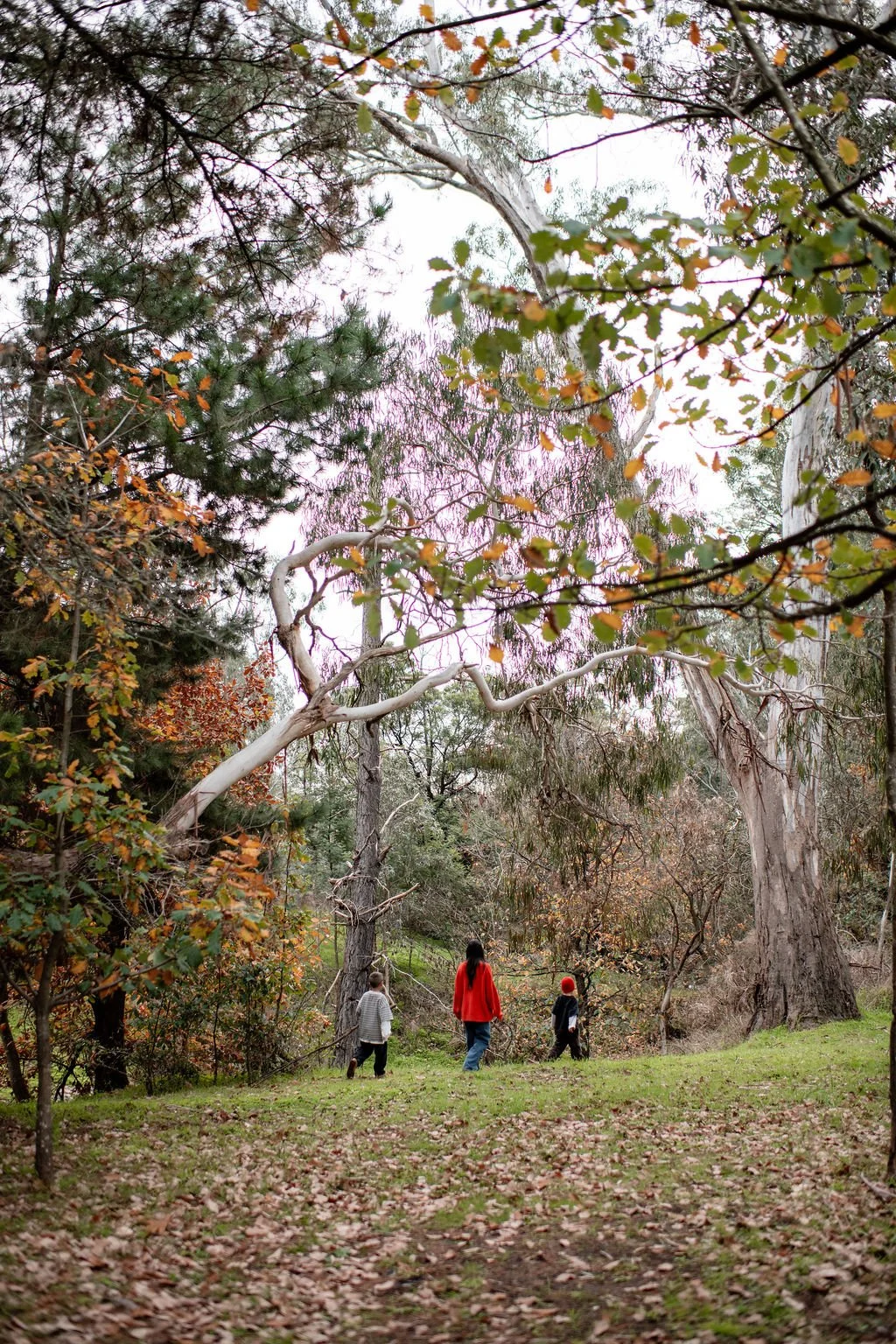 A group of four children walking through a forested park during fall, with colorful leaves on the ground and tall trees surrounding them.
