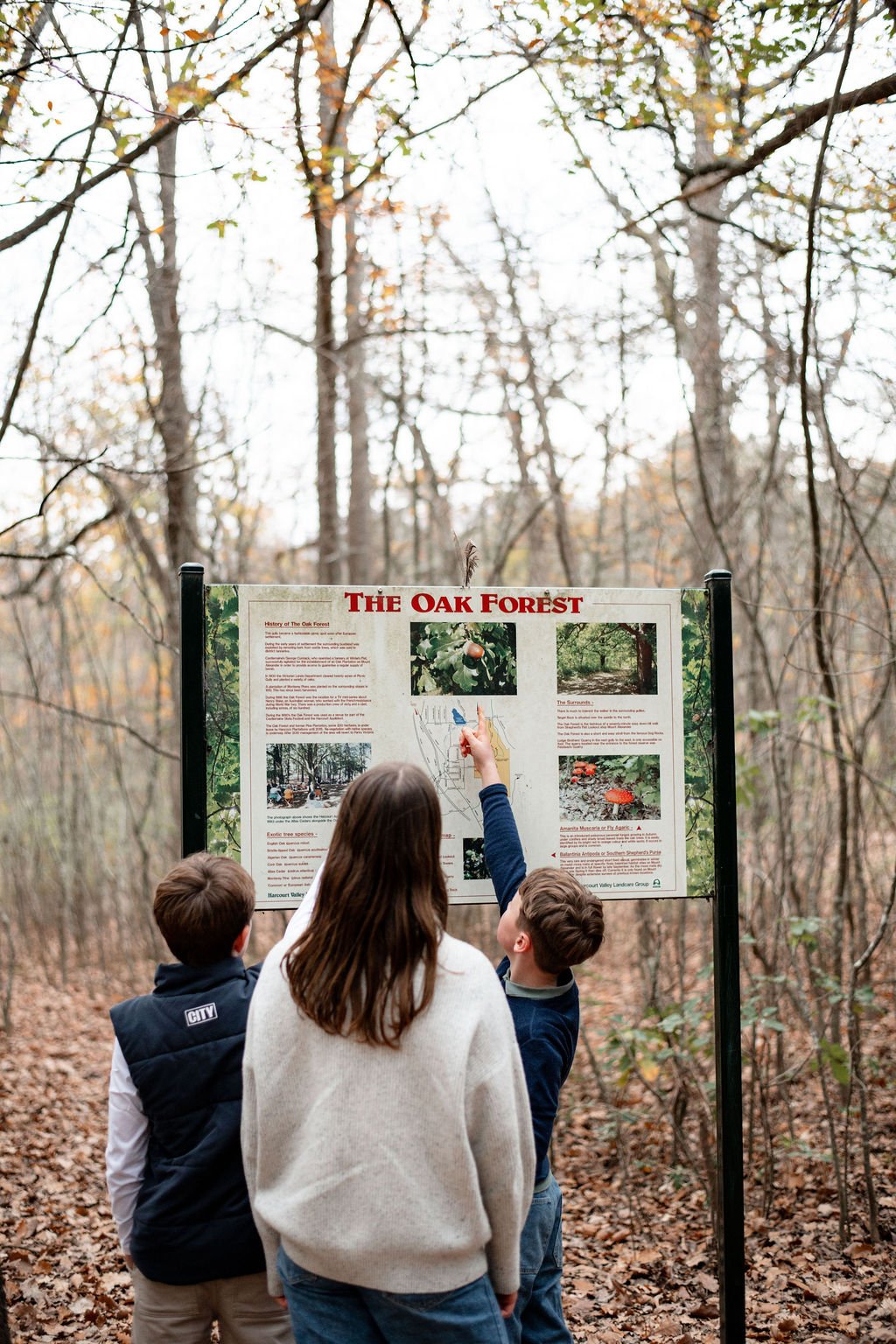 A woman and two children reading an informational sign about 'The Oak Forest' in a wooded area with leafless trees and fallen leaves.