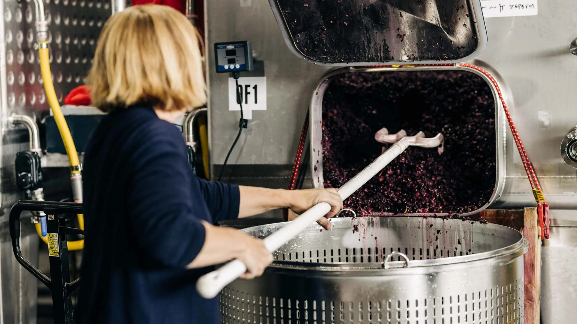 A person working at the winery in Stargazer wines