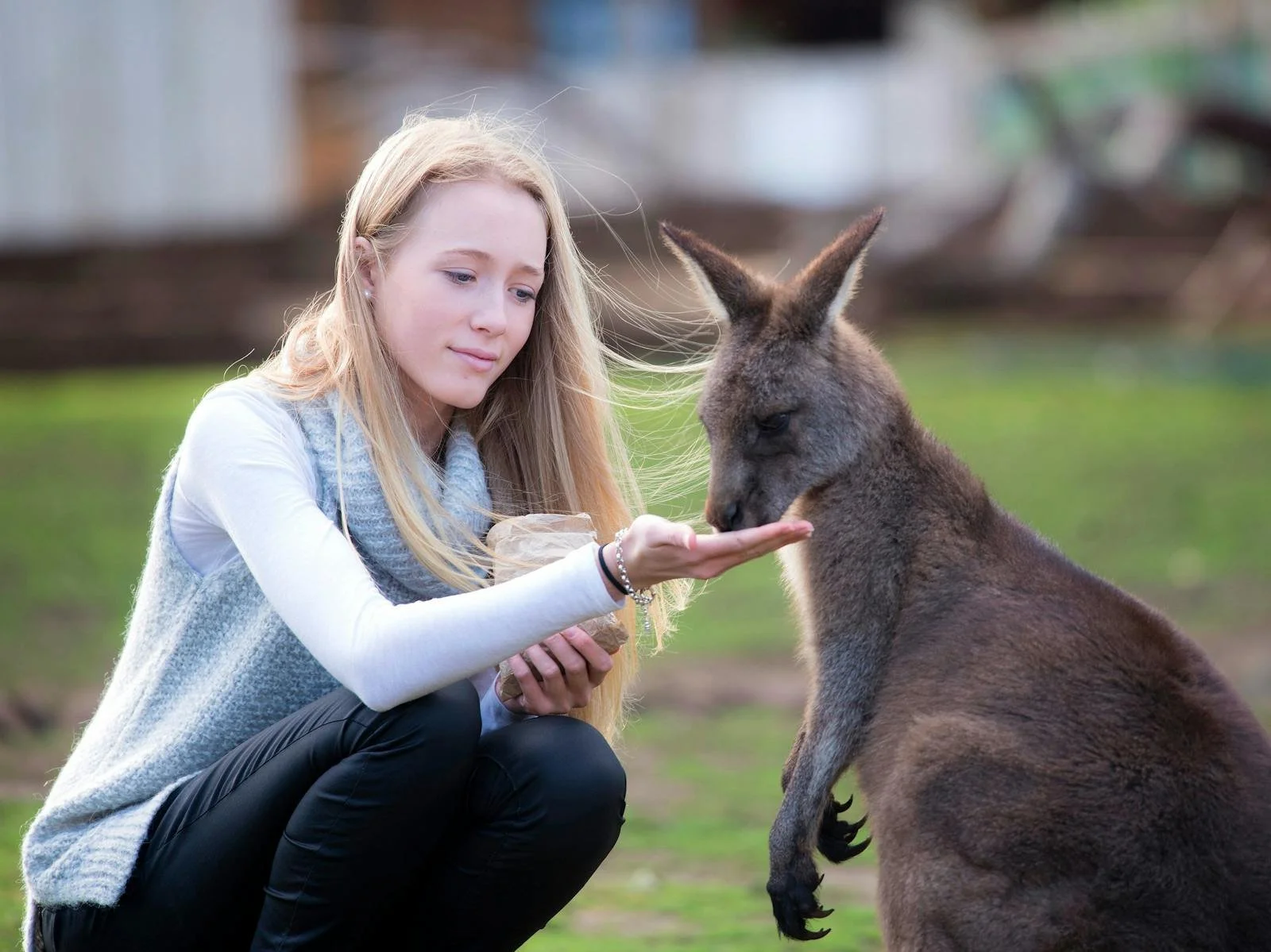 A Lady Feeding a Tasmanian Native Animal