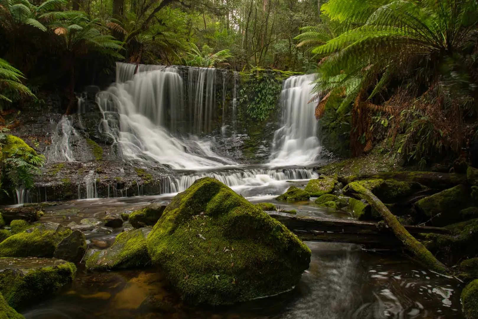 Horseshoe Falls in Mt Field National park
