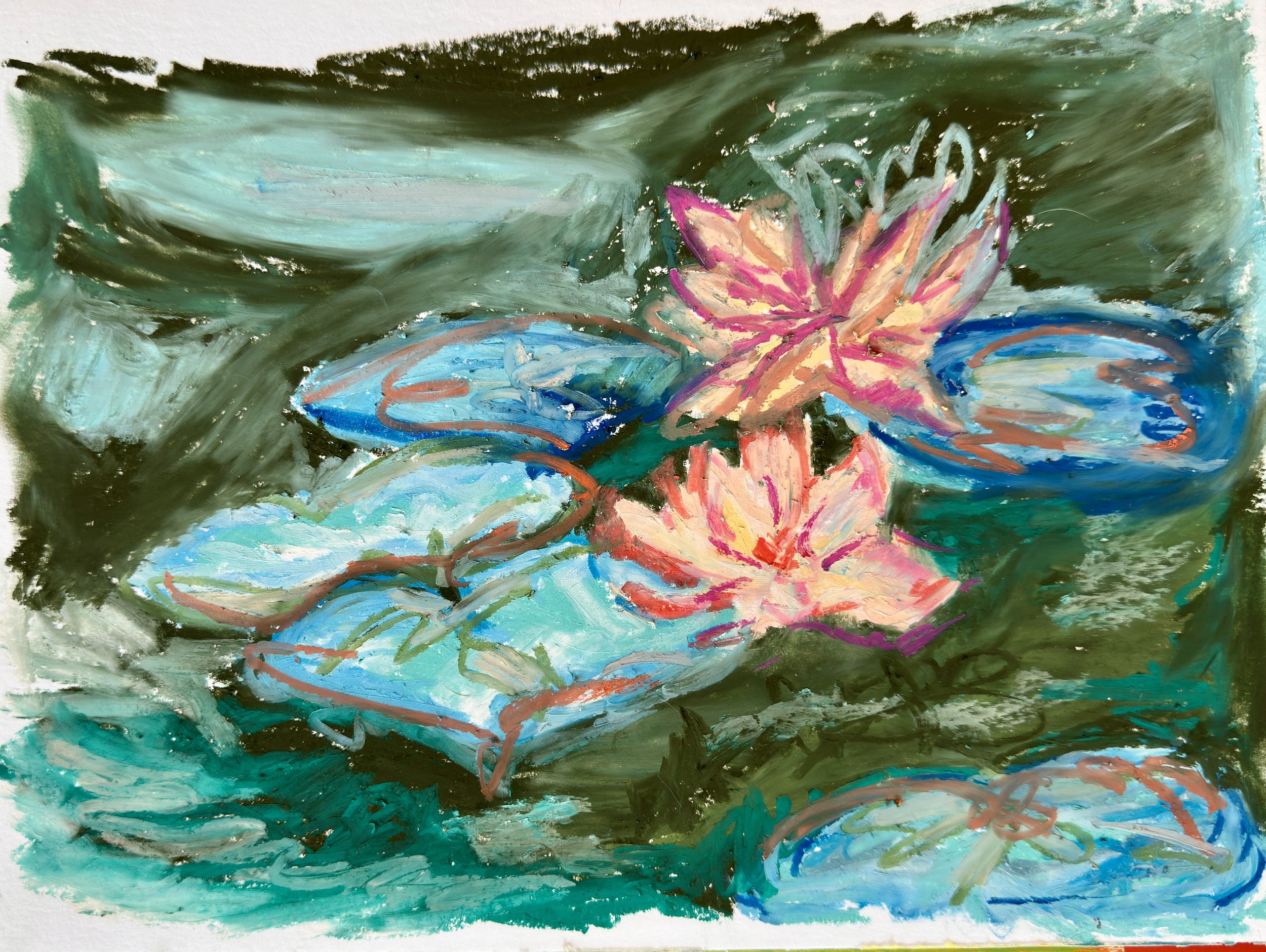 WATER LILLY