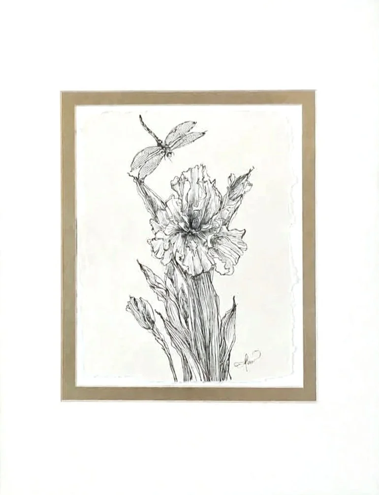 Black and white sketch of a flower with a dragonfly flying above it, framed in a simple border