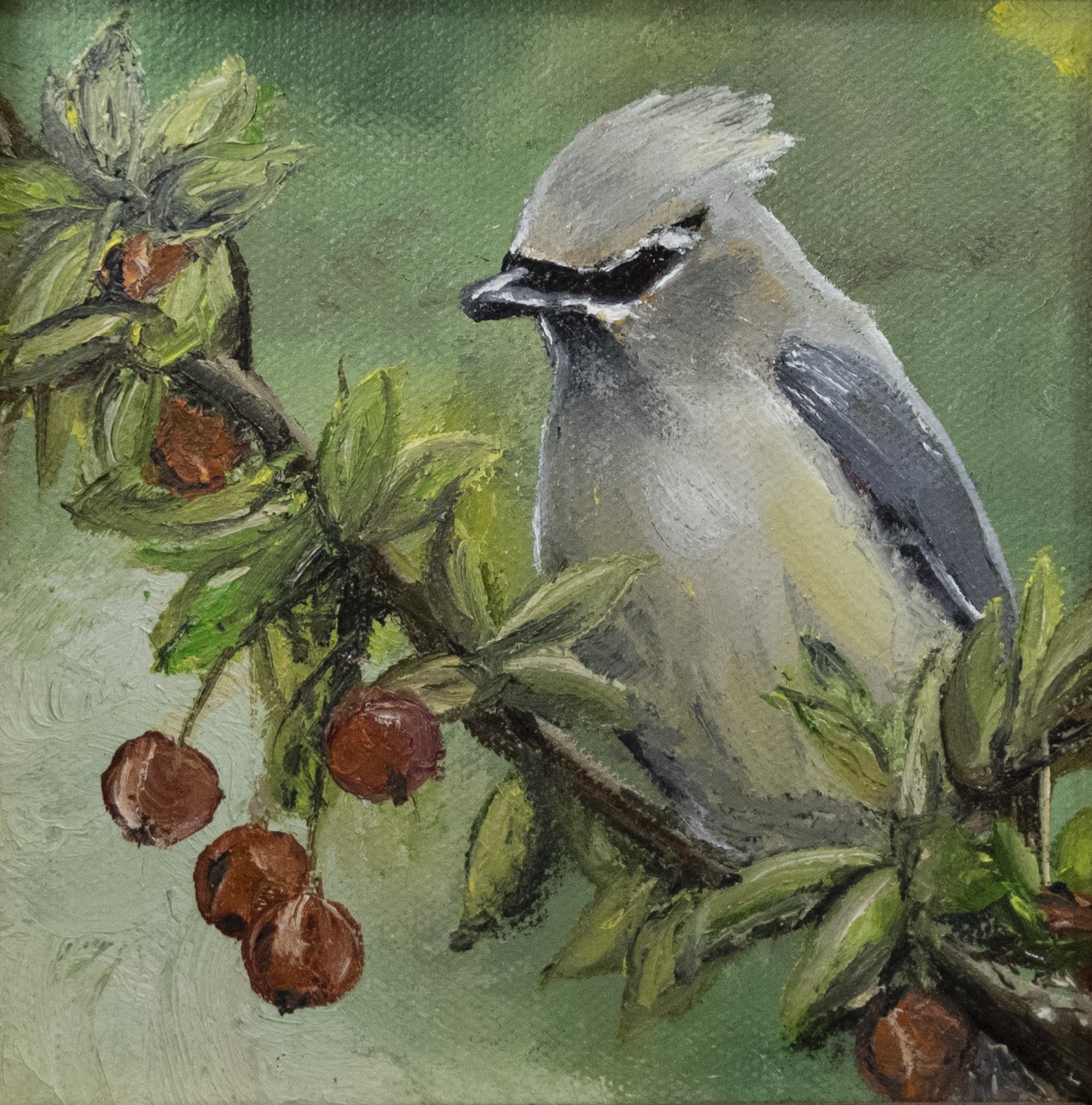 Waxwing in Crabapple