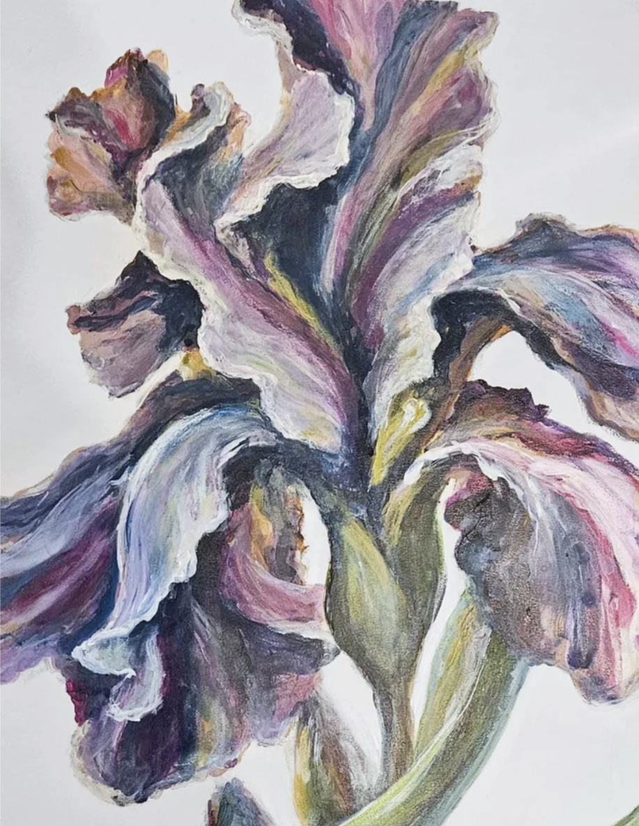 Iris Unfolding