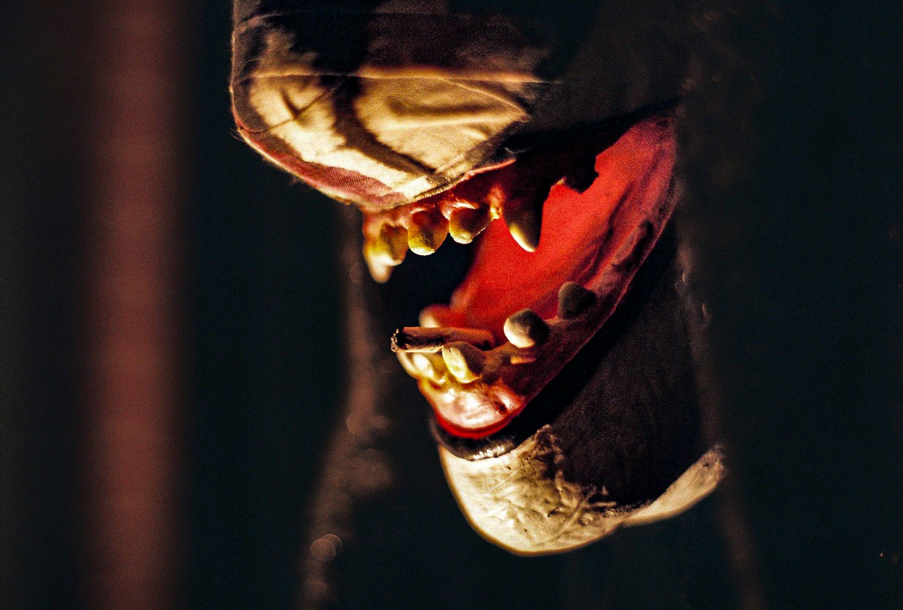 Monkey Finger Still Life 1