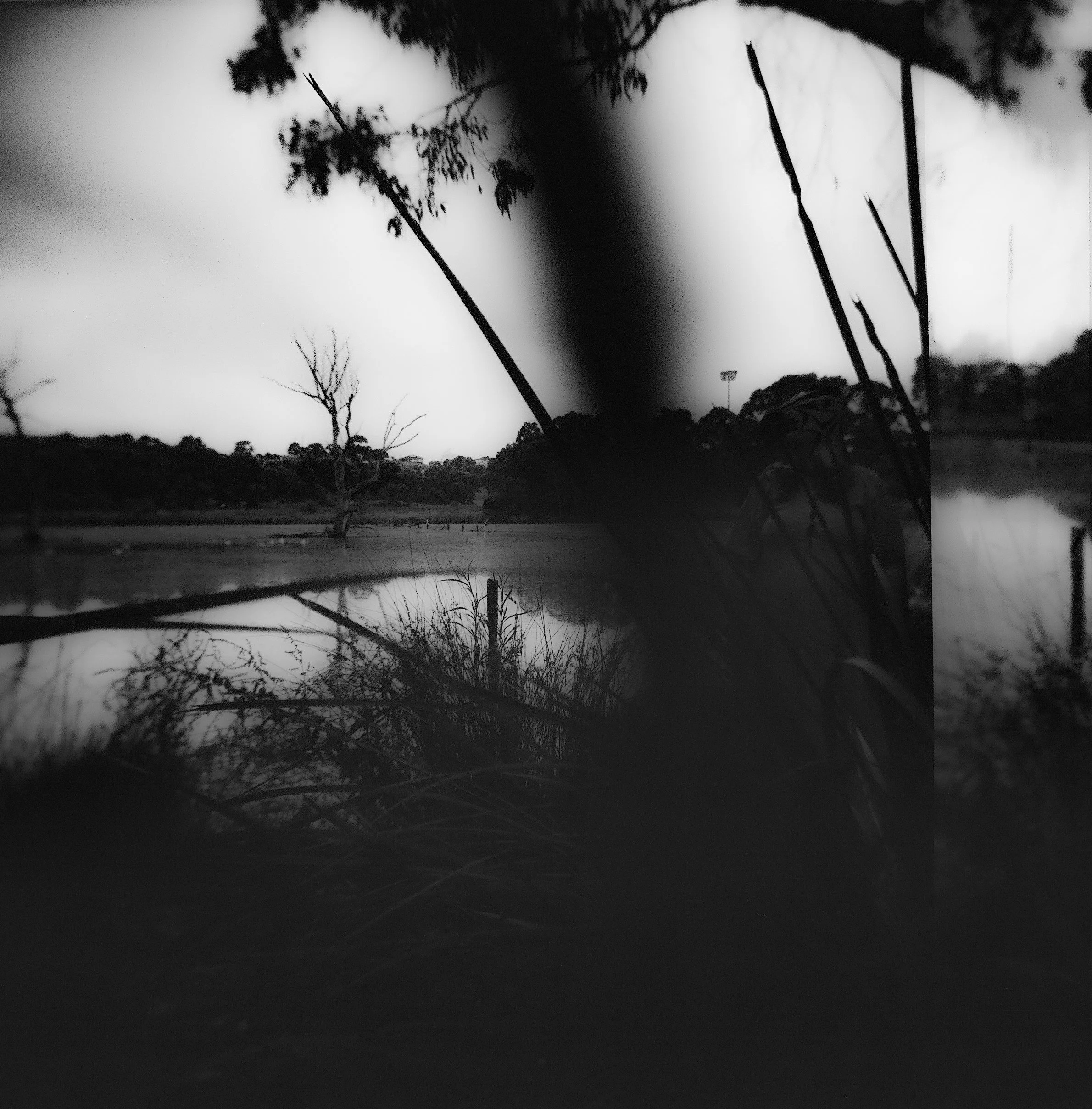 untitled-27.jpg