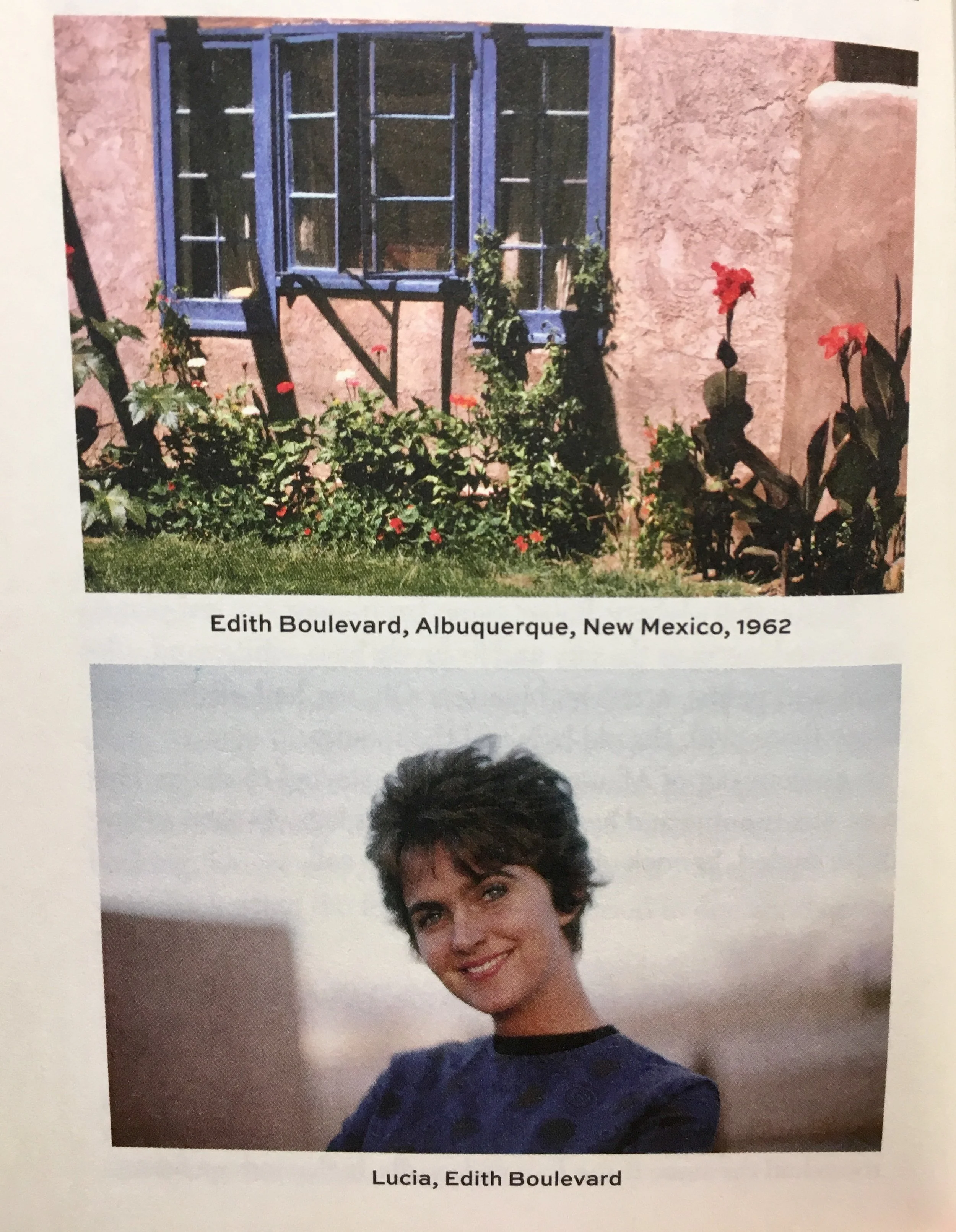 Lucia berlin3.jpg
