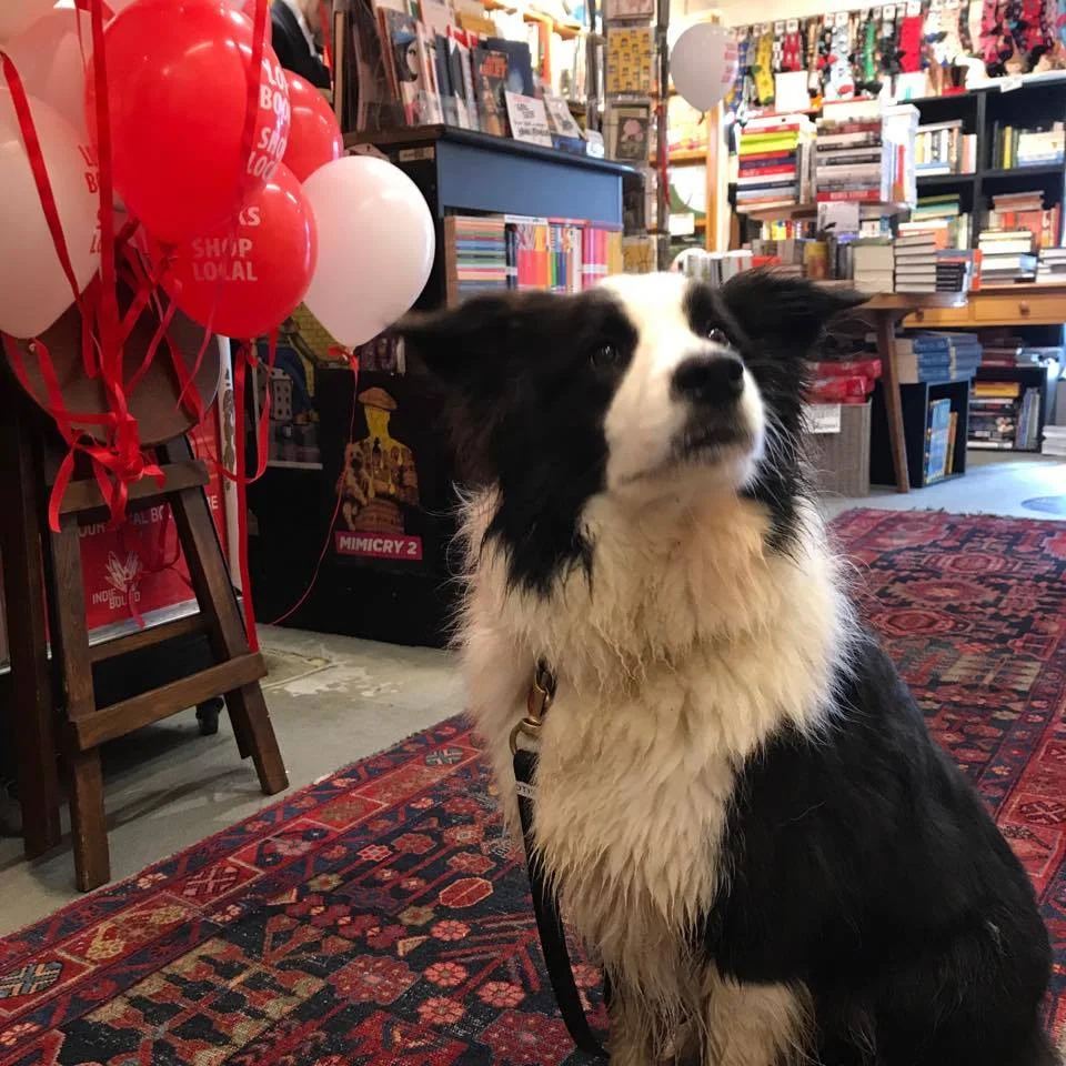 22901741_10154873098356479_351989665_n.jpg